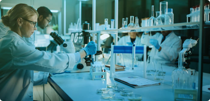 Top Validation Firms